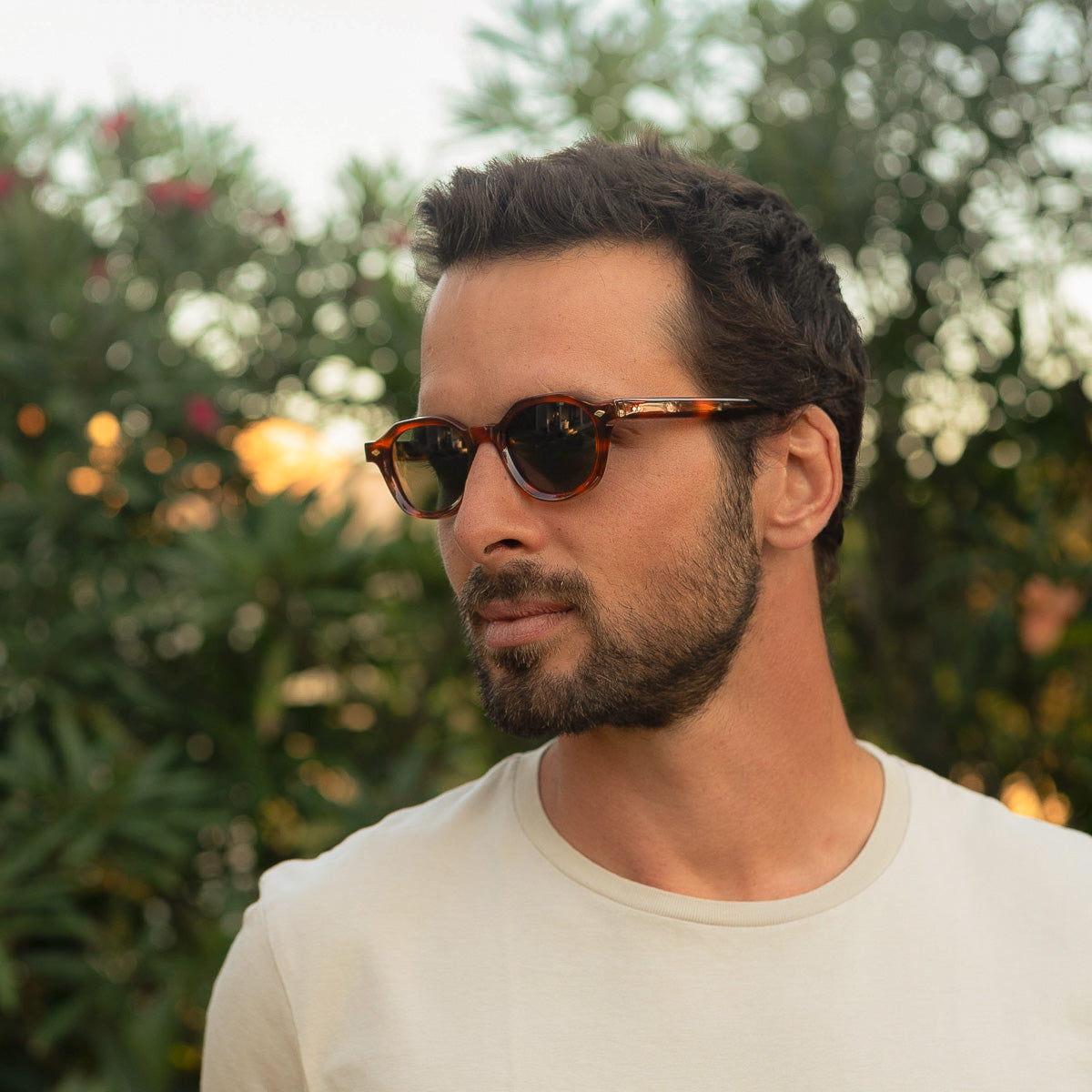 Mireye Earth sunglasses in Tortoise color.